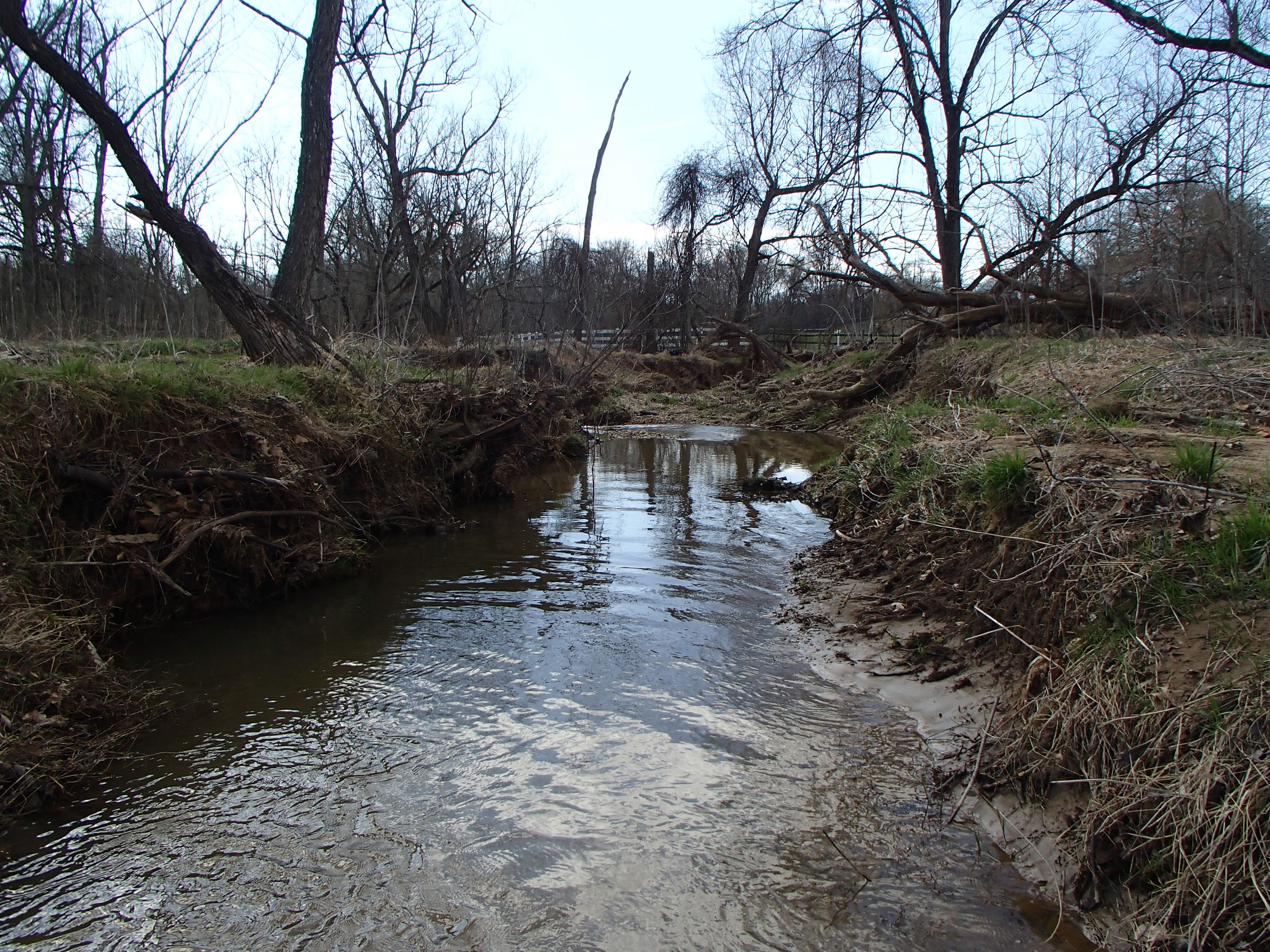 Field photo showing stream conditions at site PRMO-203-X-2016_Midpoint facing downstream